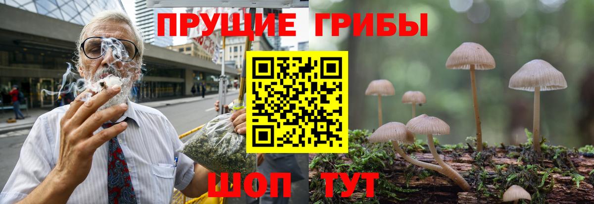 Павловский Посад  Псилоцибиновые грибы GOLDEN TEACHER  Вход с VPN  наркошоп  Галлюциногенные грибы мухоморы 